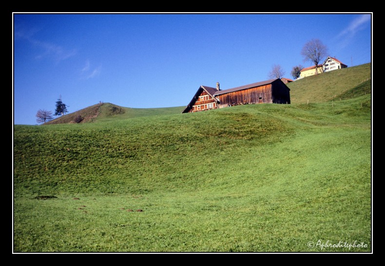 20 Typische Landschaft